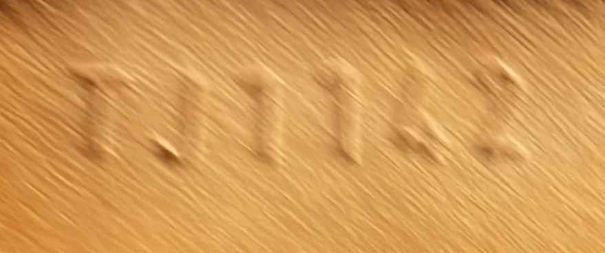 Sully Handbag Monogram Canvas MM - Deep Luxury