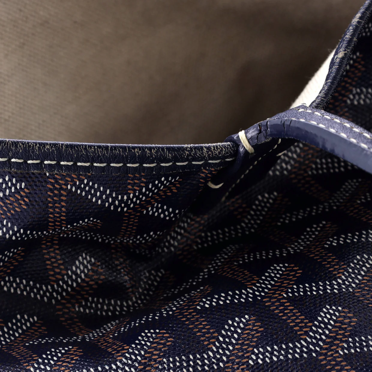 Saint Louis Tote Coated Canvas PM - Deep Luxury