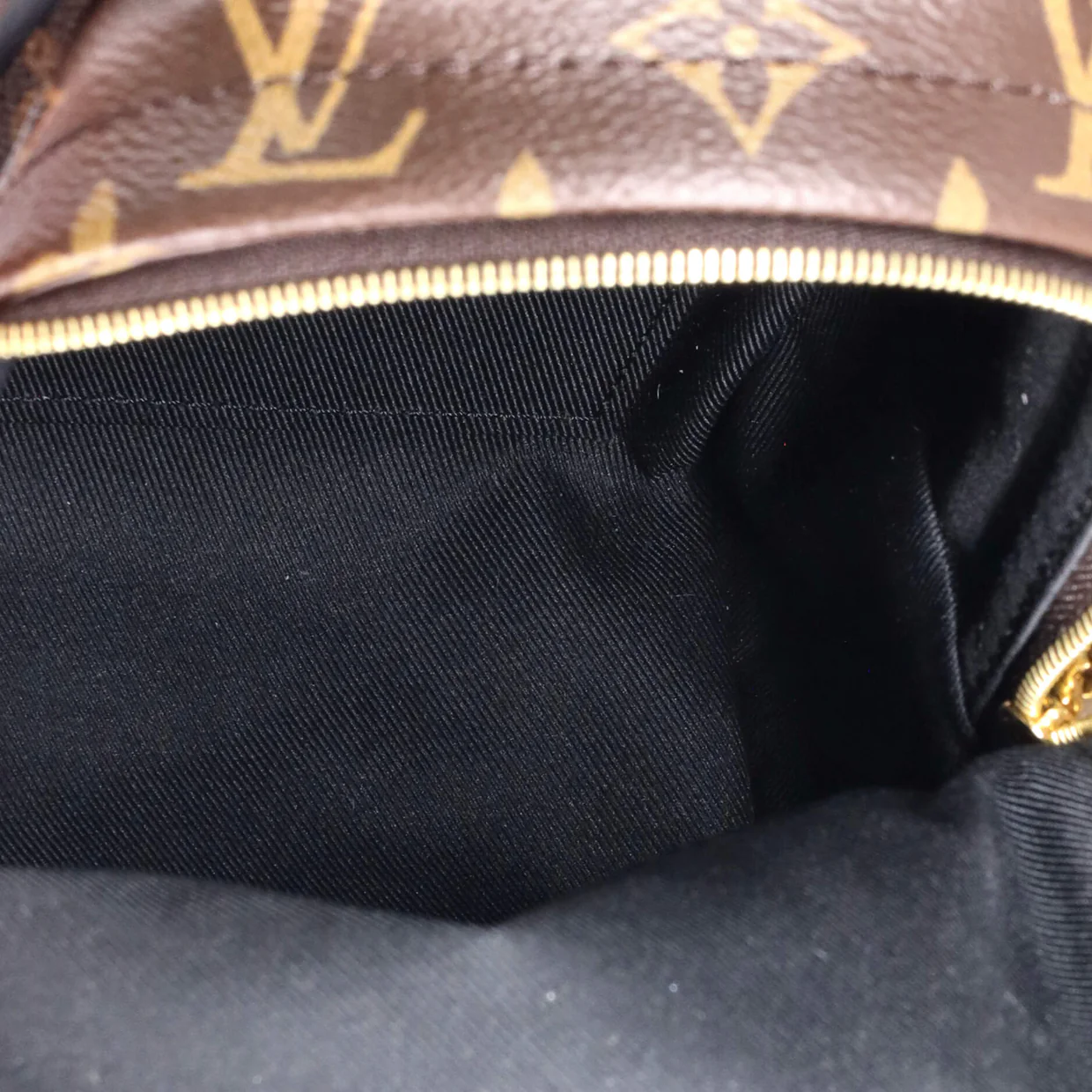 Palm Springs Backpack Monogram Canvas Mini - Deep Luxury