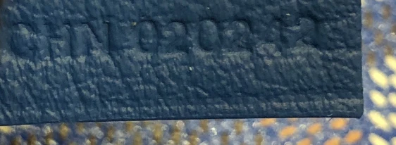 Saint Louis Tote Printed Coated Canvas PM - Deep Luxury