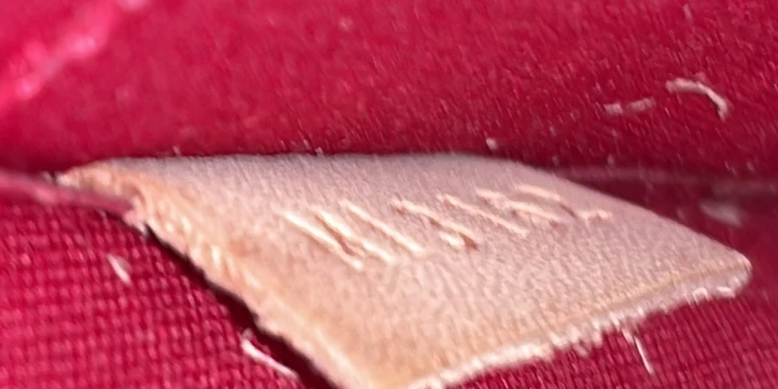 Alma Handbag Monogram Vernis GM - Deep Luxury