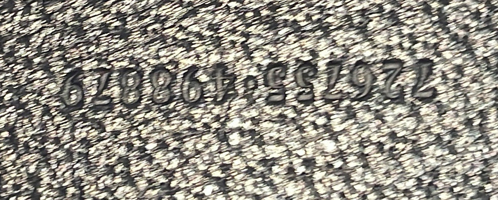 Ophidia Open Shopping Tote GG Coated Canvas Large - Deep Luxury