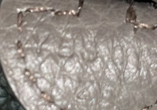 Evelyne Bag Gen III Clemence TPM - Deep Luxury