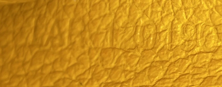 Saigon Top Handle Bag Coated Canvas with Leather Mini - Deep Luxury