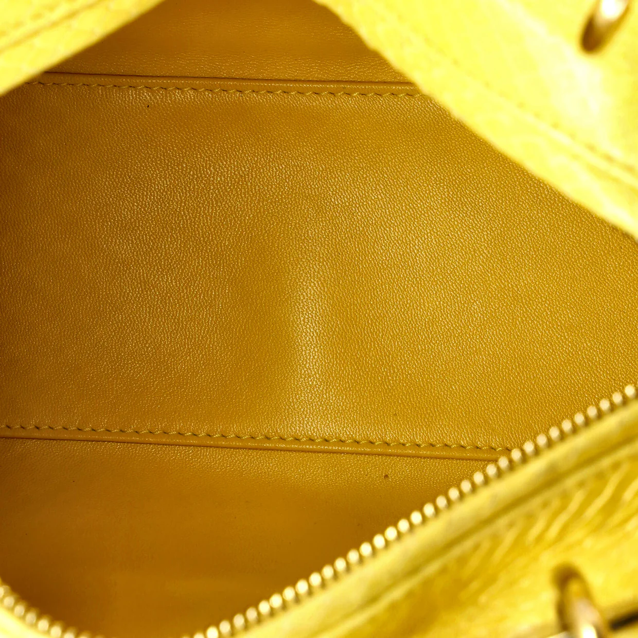 Lady Dior Bag Python Medium - Deep Luxury