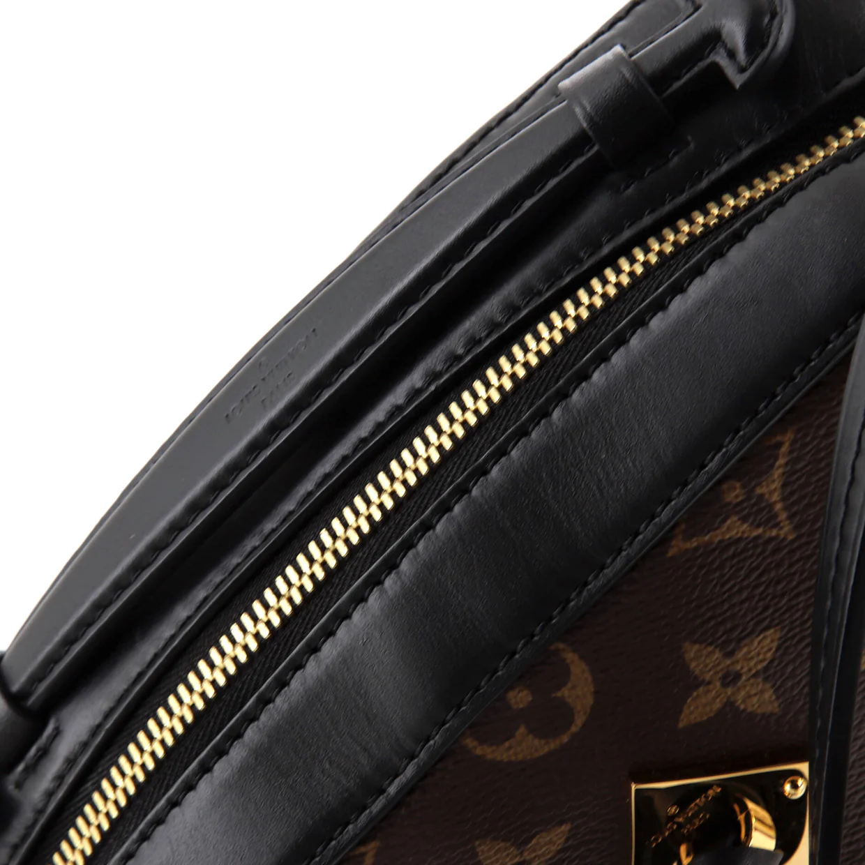 Saintonge Handbag Monogram Canvas with Leather - Deep Luxury