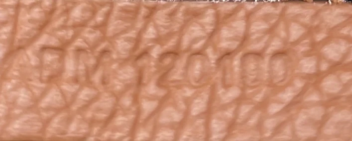 Saint Louis Tote Coated Canvas PM - Deep Luxury