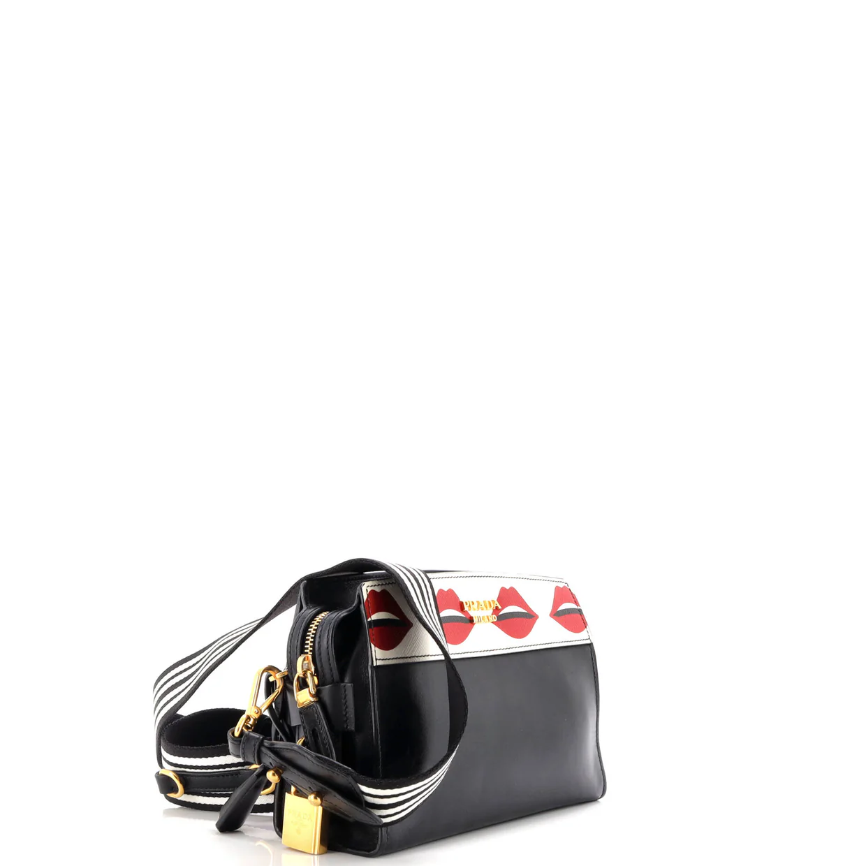 Esplanade Crossbody Bag Printed Saffiano and City Calf Small - Deep Luxury