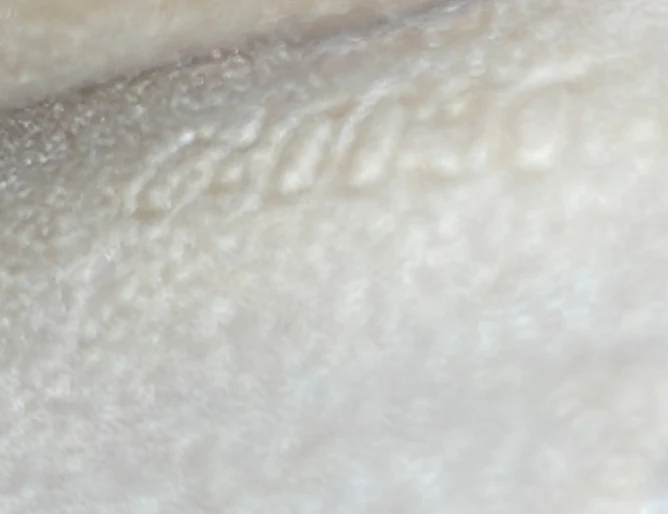 Twin Handbag Monogram Canvas GM - Deep Luxury