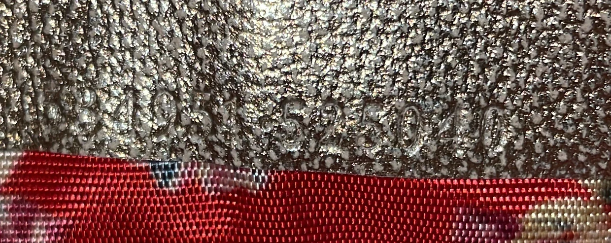 Trapuntata Camera Shoulder Bag Quilted Laminated Leather Mini - Deep Luxury