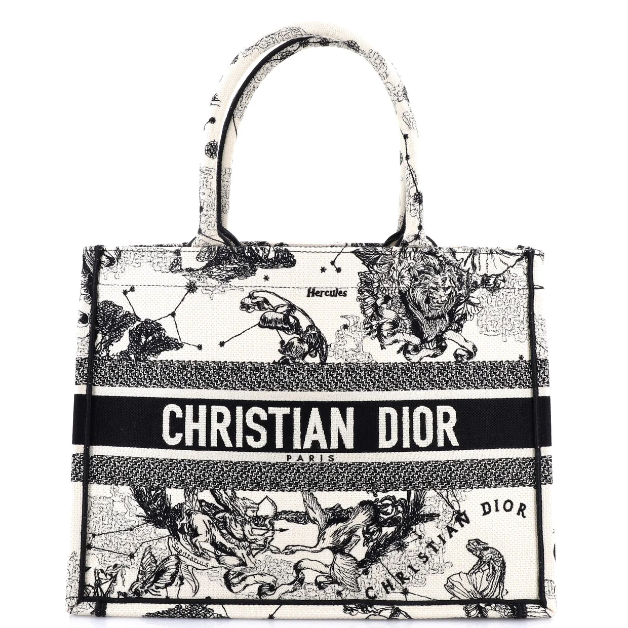 Book Tote Embroidered Canvas Medium - Deep Luxury