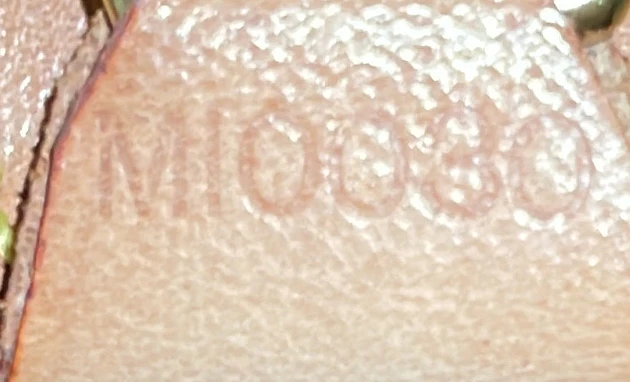 Ellipse Backpack Monogram Canvas - Deep Luxury