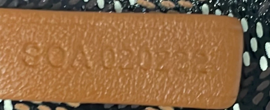 Saint Louis Tote Printed Coated Canvas GM - Deep Luxury