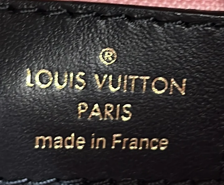 Speedy Bandouliere Bag Fall for You Monogram Canvas 25 - Deep Luxury