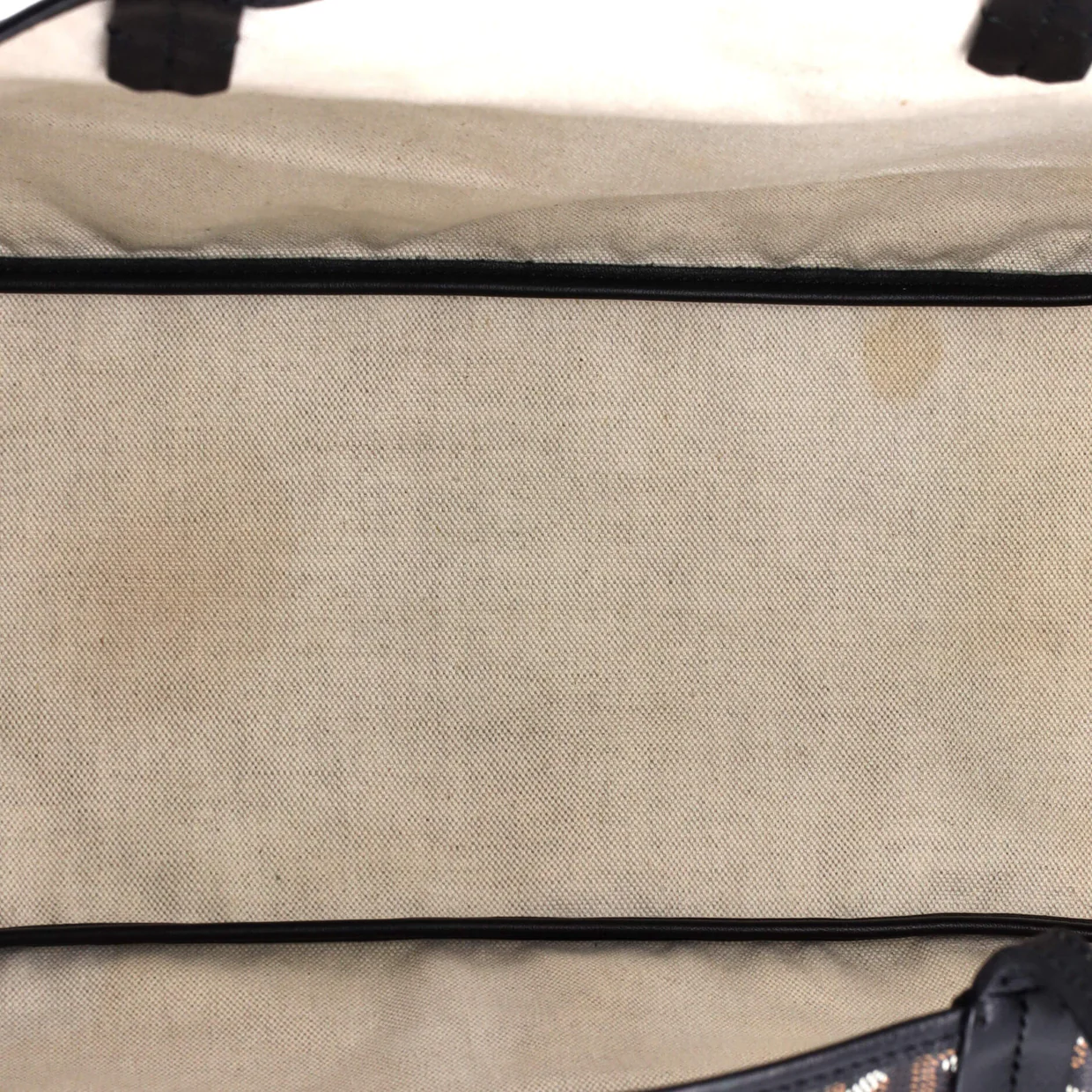 Saint Louis Tote Coated Canvas PM - Deep Luxury