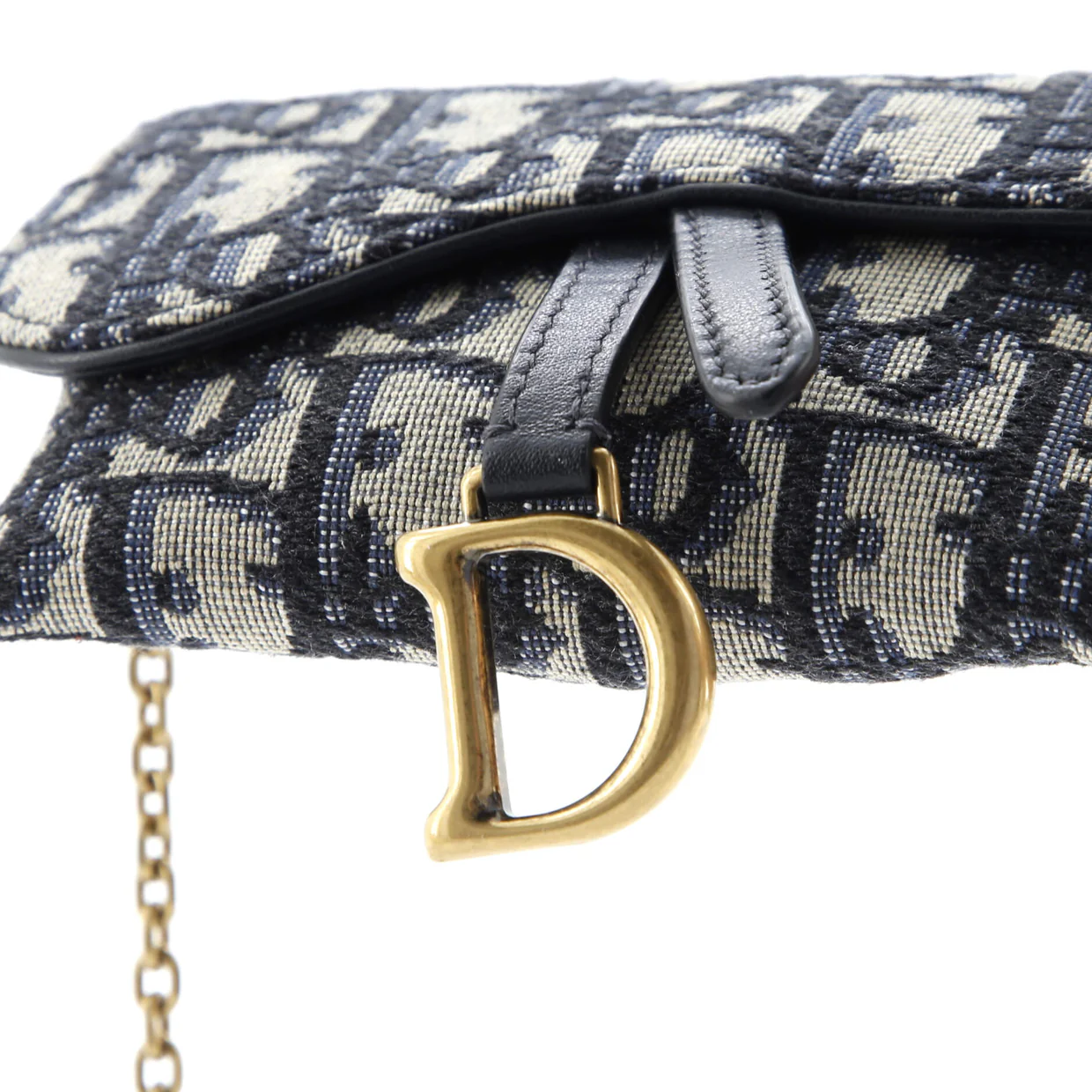 Saddle Nano Pouch Oblique Canvas - Deep Luxury