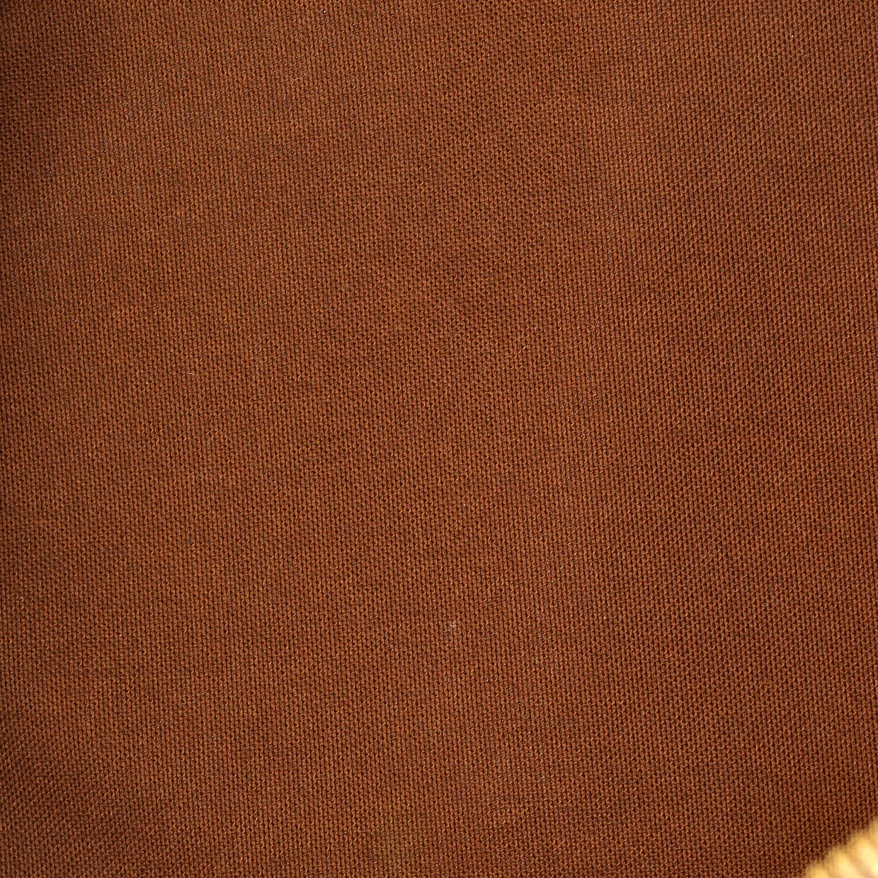 Palermo Handbag Monogram Canvas PM - Deep Luxury