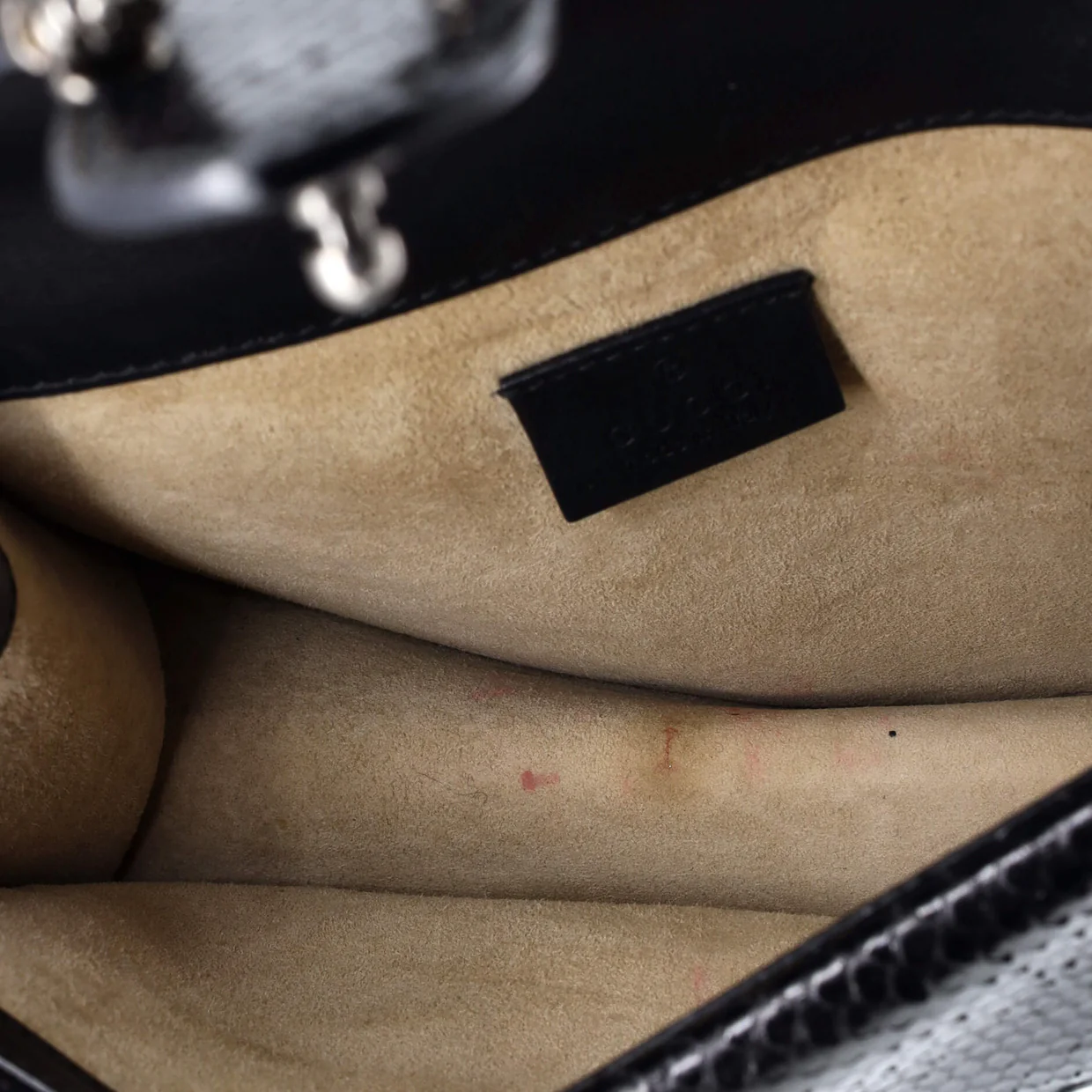 Dionysus Bag Python with Embellished Detail Mini - Deep Luxury