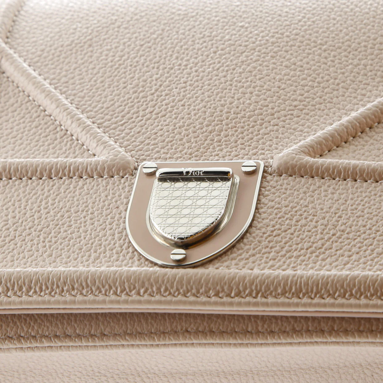 Diorama Flap Bag Grained Calfskin Mini - Deep Luxury