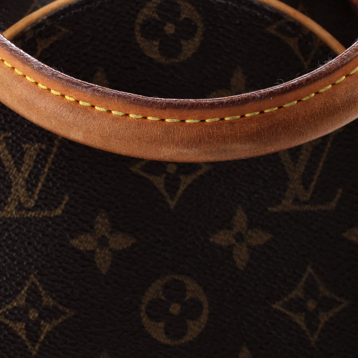 Ellipse Bag Monogram Canvas PM - Deep Luxury