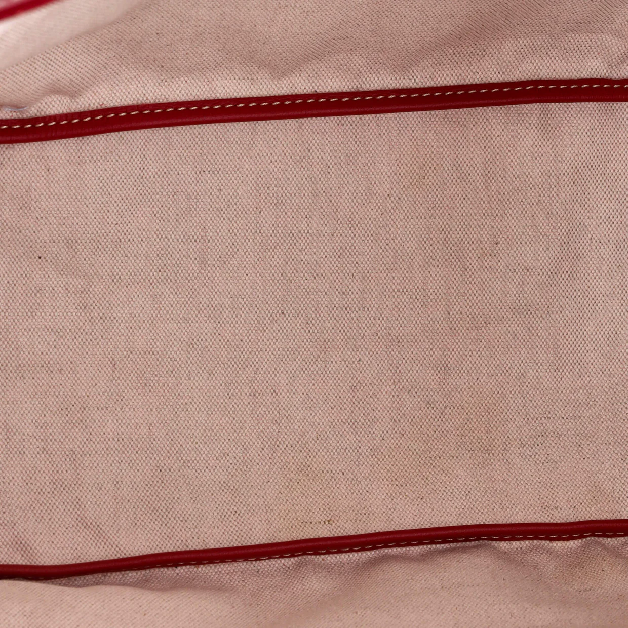 Saint Louis Tote Coated Canvas PM - Deep Luxury