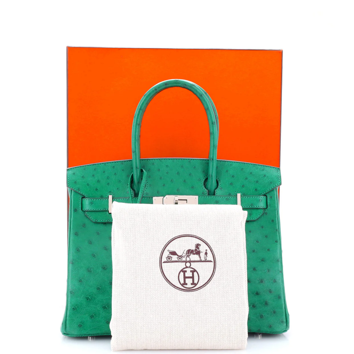 Birkin Handbag Vert Vertigo Ostrich with Palladium Hardware 30 - Deep Luxury