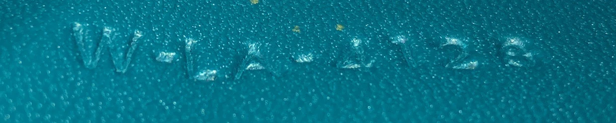 Classic Box Bag Lizard Medium - Deep Luxury