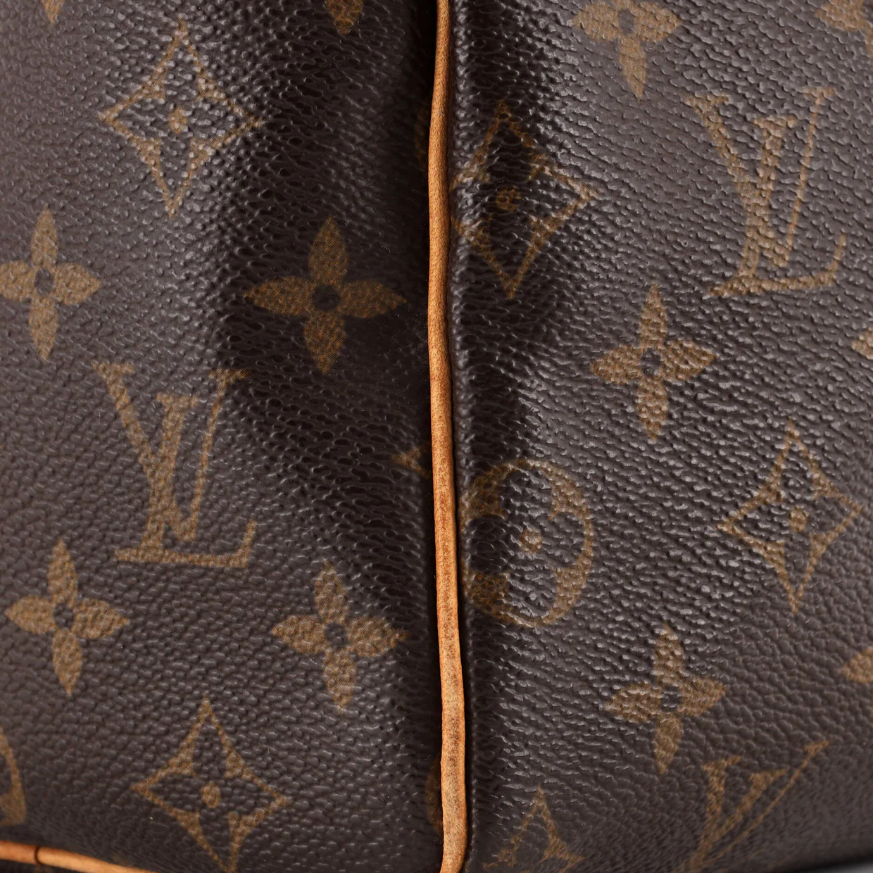 Speedy Handbag Monogram Canvas 25 - Deep Luxury