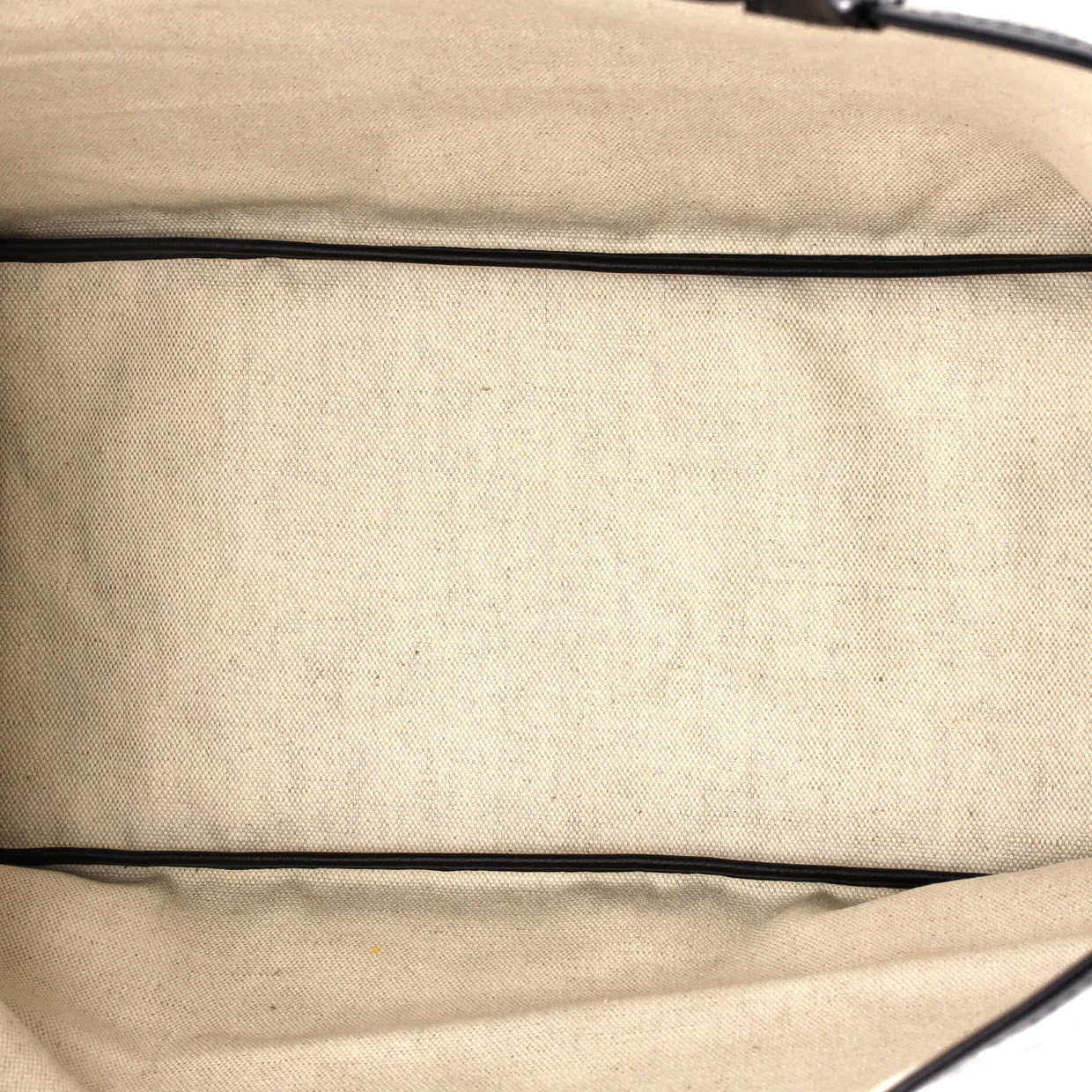 Saint Louis Tote Coated Canvas PM - Deep Luxury