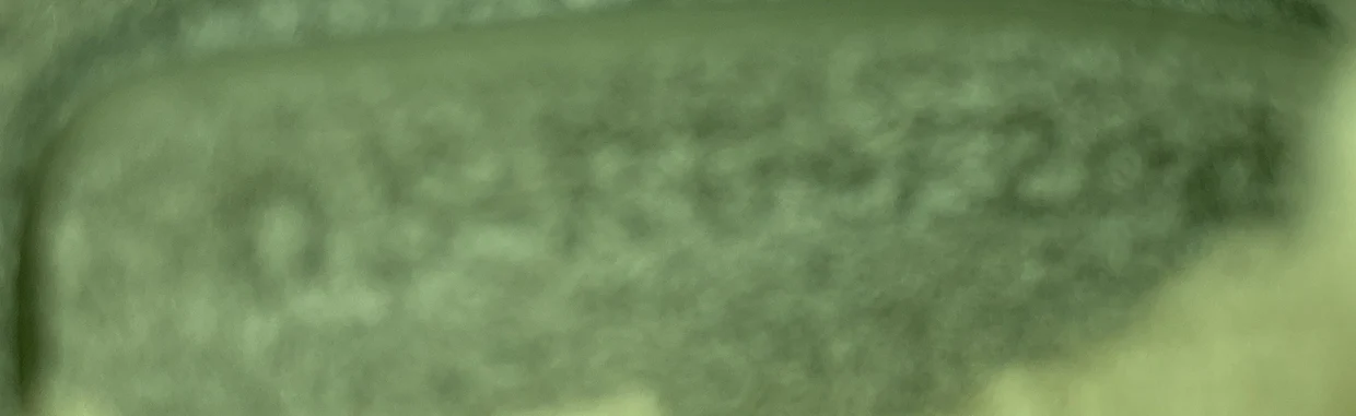 Caro Bag Cannage Quilt Suede with Shearling Small - Deep Luxury