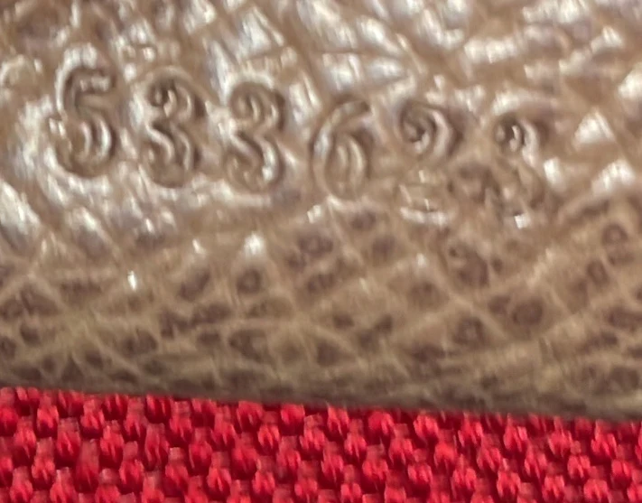 Bamboo Globe-Trotter Vanity Case GG Coated Canvas - Deep Luxury