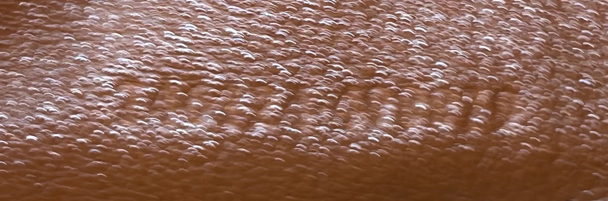 Diana NM Bamboo Shoulder Bag Leather Medium - Deep Luxury