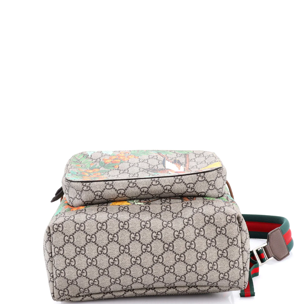 Buckle Backpack Tian Print GG Coated Canvas Medium - Deep Luxury