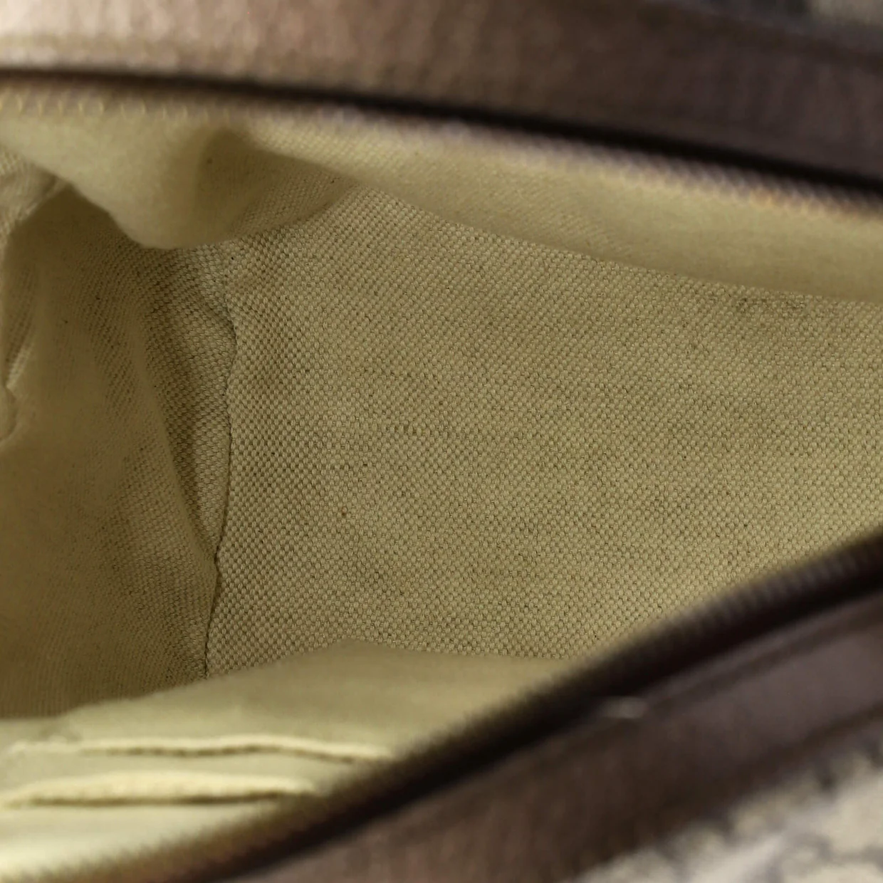 Ophidia Backpack GG Coated Canvas and Leather Small - Deep Luxury