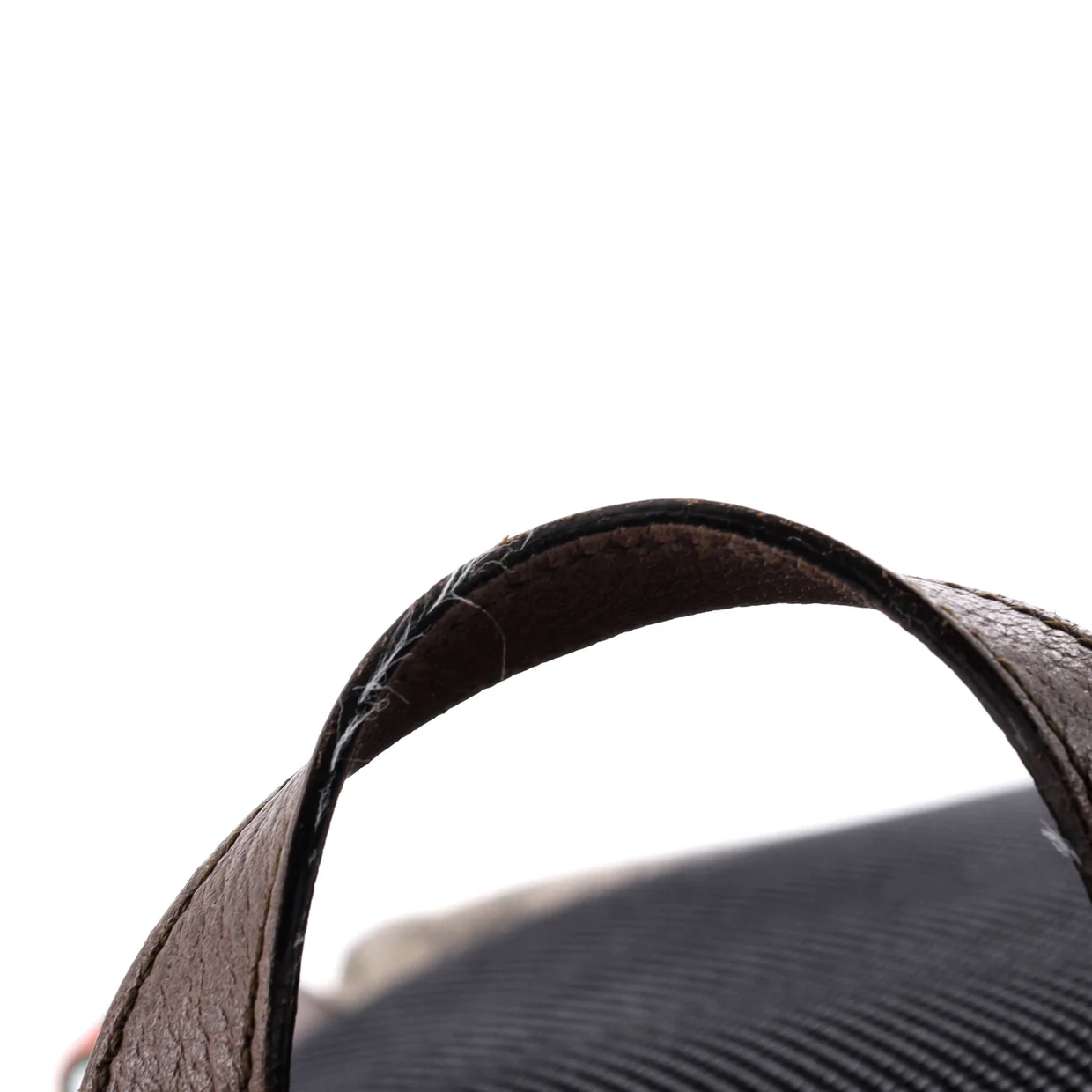 Courrier Soft Backpack GG Coated Canvas with Applique Large - Deep Luxury