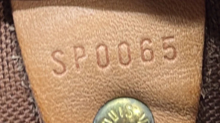 Speedy Handbag Monogram Canvas 25 - Deep Luxury