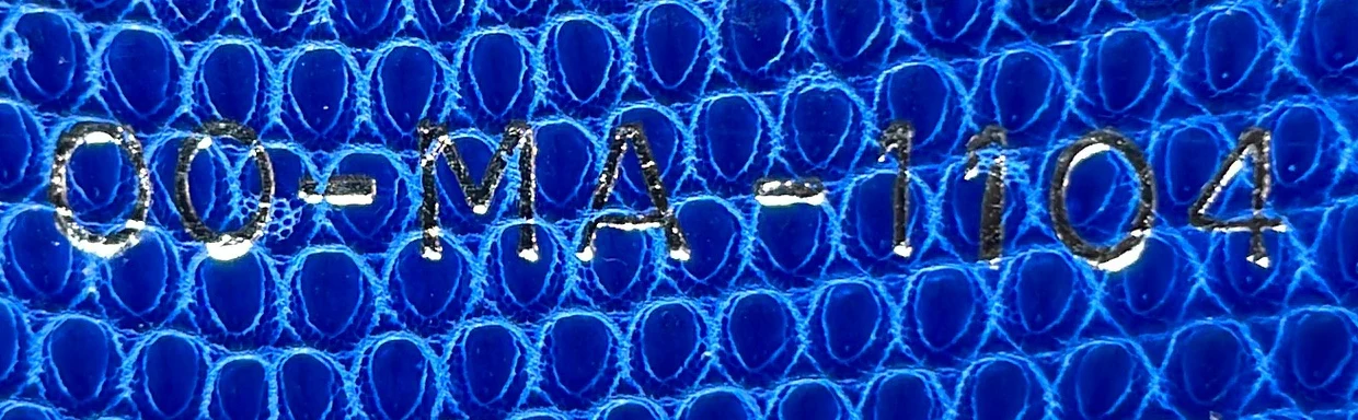 Lady Dior Bag Lizard Medium - Deep Luxury