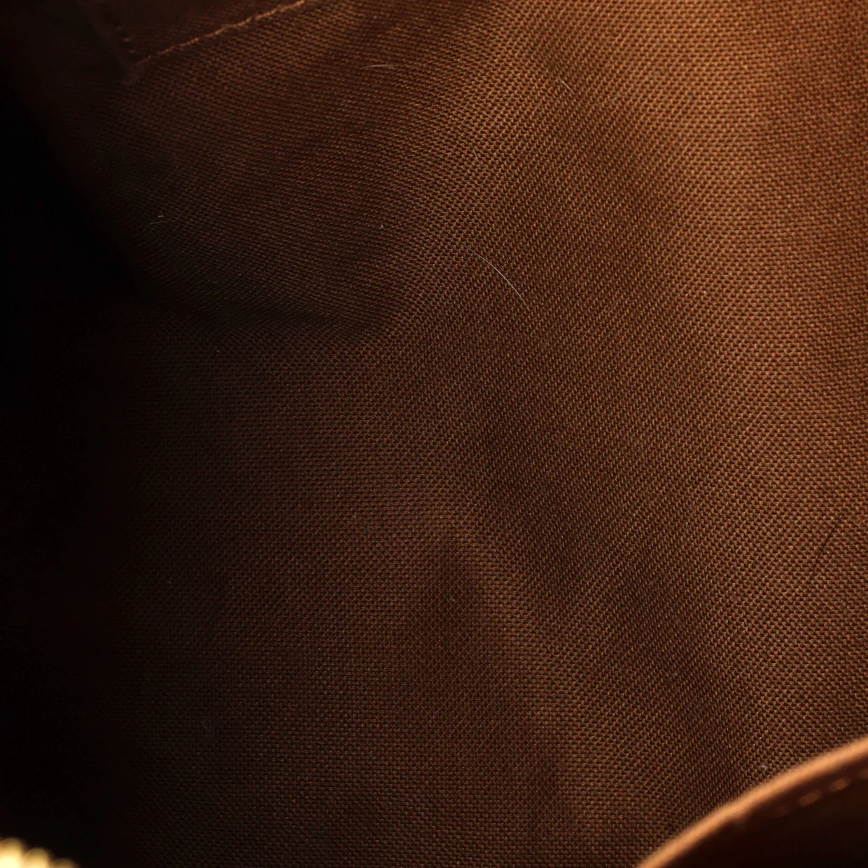 Sully Handbag Monogram Canvas MM - Deep Luxury