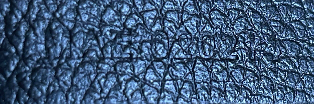 Saint Louis Tote Coated Canvas GM - Deep Luxury