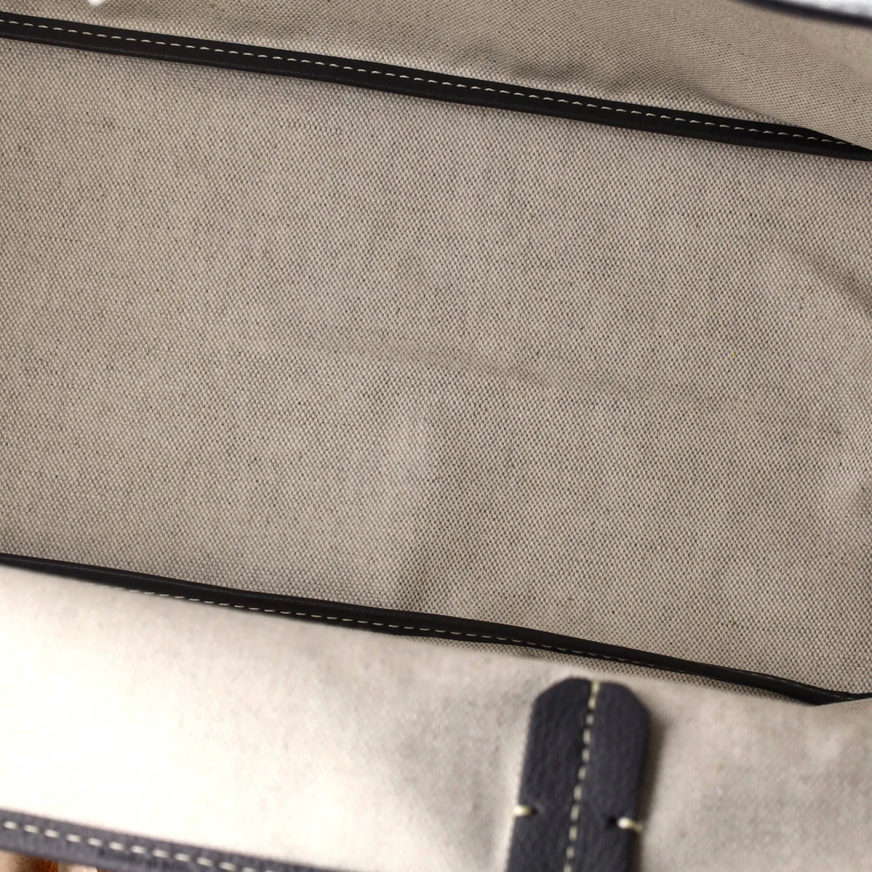 Saint Louis Tote Coated Canvas PM - Deep Luxury