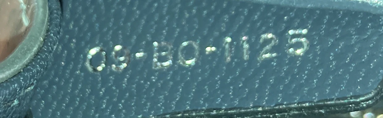 Diorama Flap Bag Beaded Leather Small - Deep Luxury