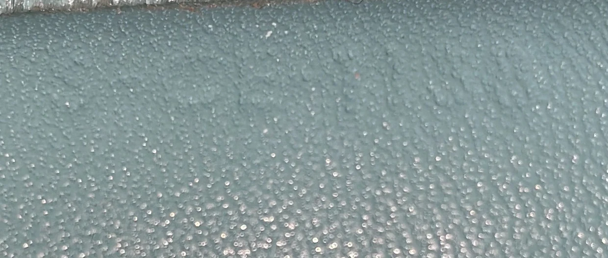 Clasp Crossbody Bag Lizard Mini - Deep Luxury