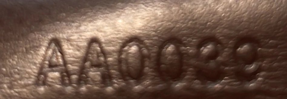 Speedy Handbag Damier 25 - Deep Luxury