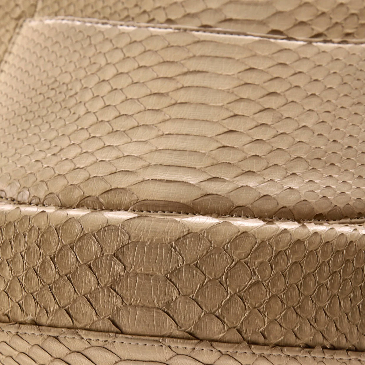 Coco Top Handle Bag Python Medium - Deep Luxury