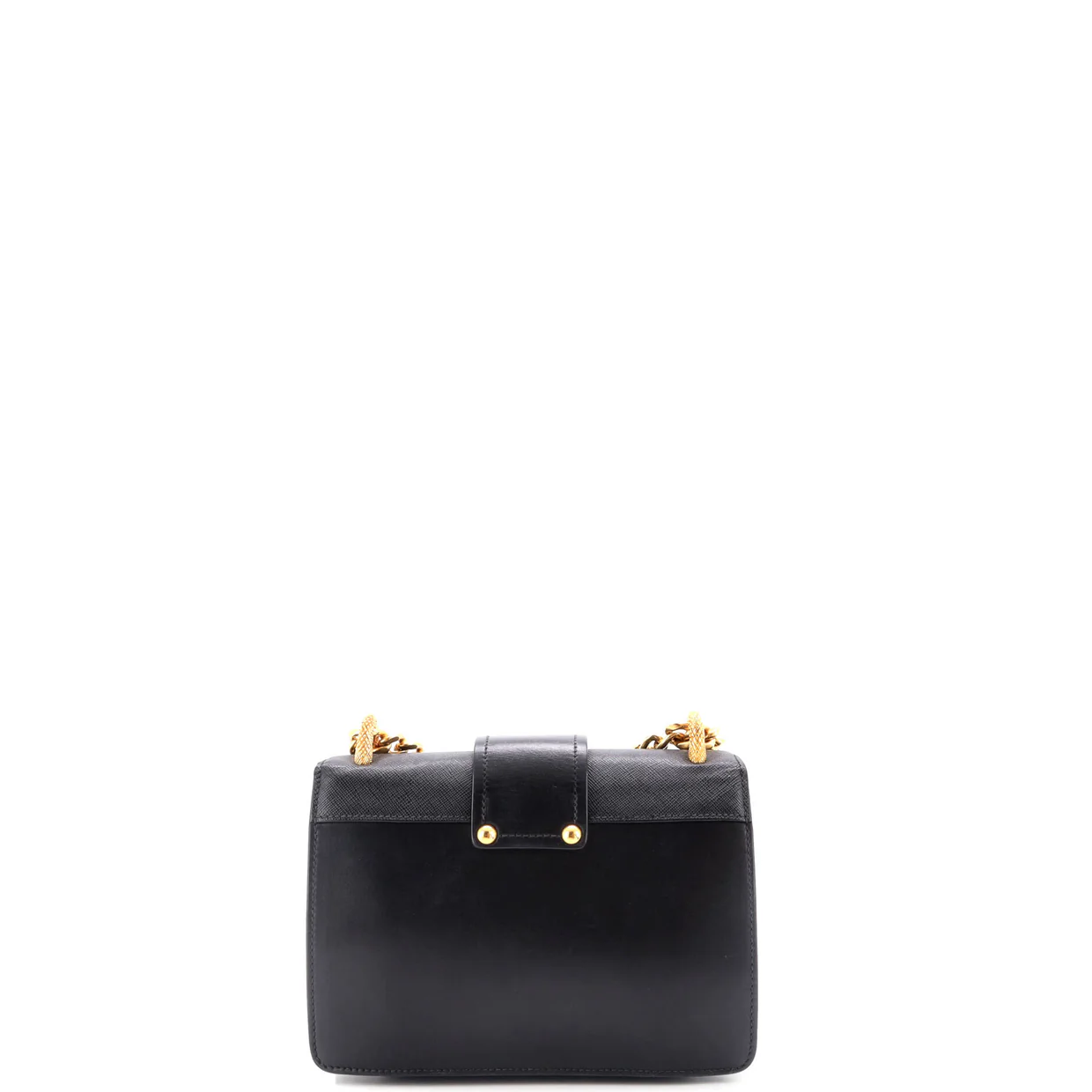 Animalier Cahier Crossbody Bag City Calf and Saffiano Small - Deep Luxury