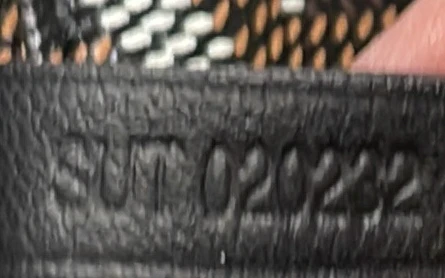 Saint Louis Tote Coated Canvas PM - Deep Luxury