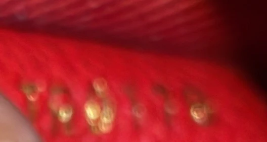 Sully Tote Monogram Empreinte Leather PM - Deep Luxury