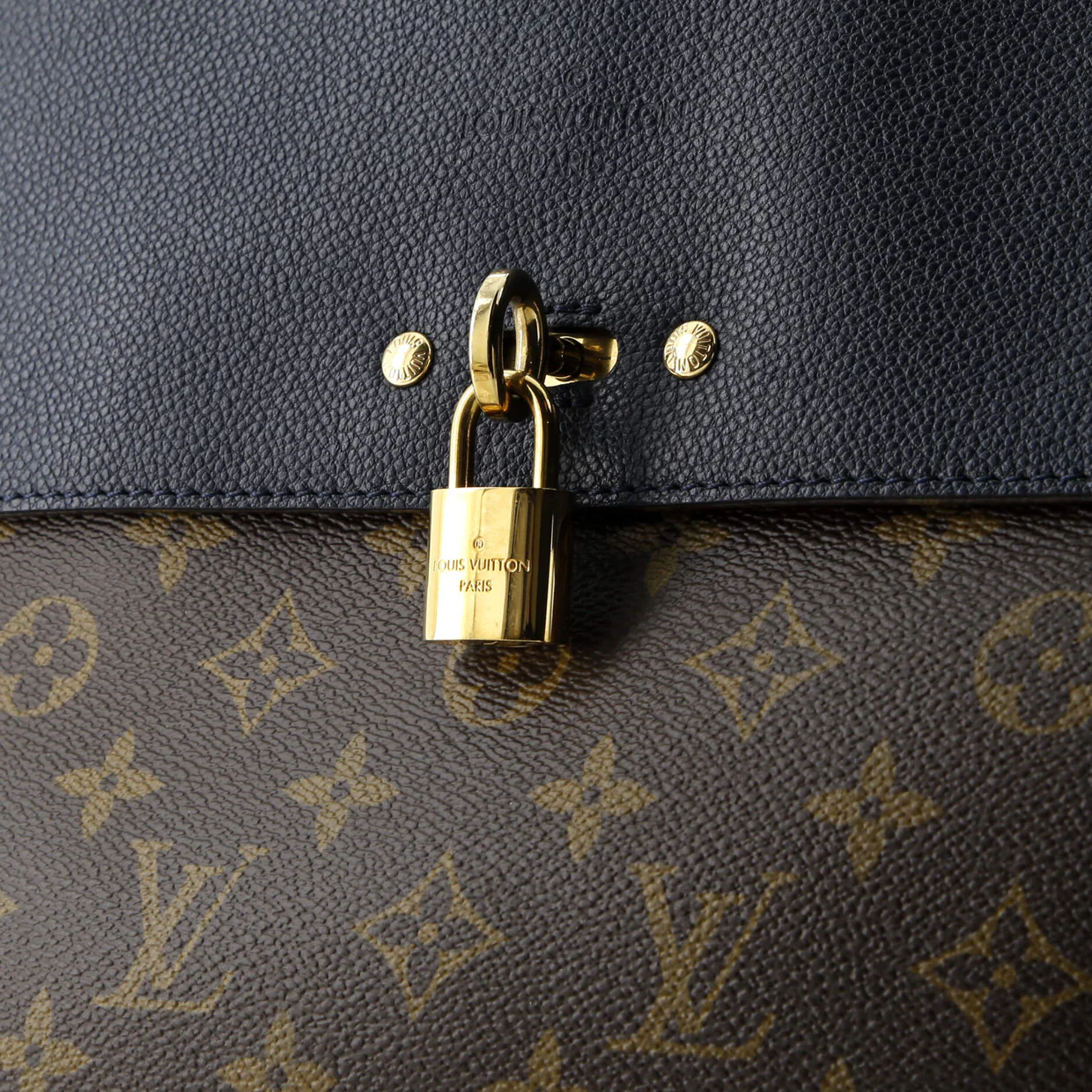 Venus Handbag Monogram Canvas and Leather - Deep Luxury