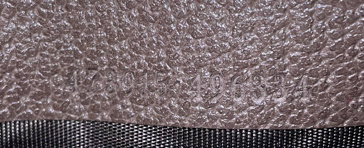 Courrier Pouch GG Coated Canvas with Applique - Deep Luxury