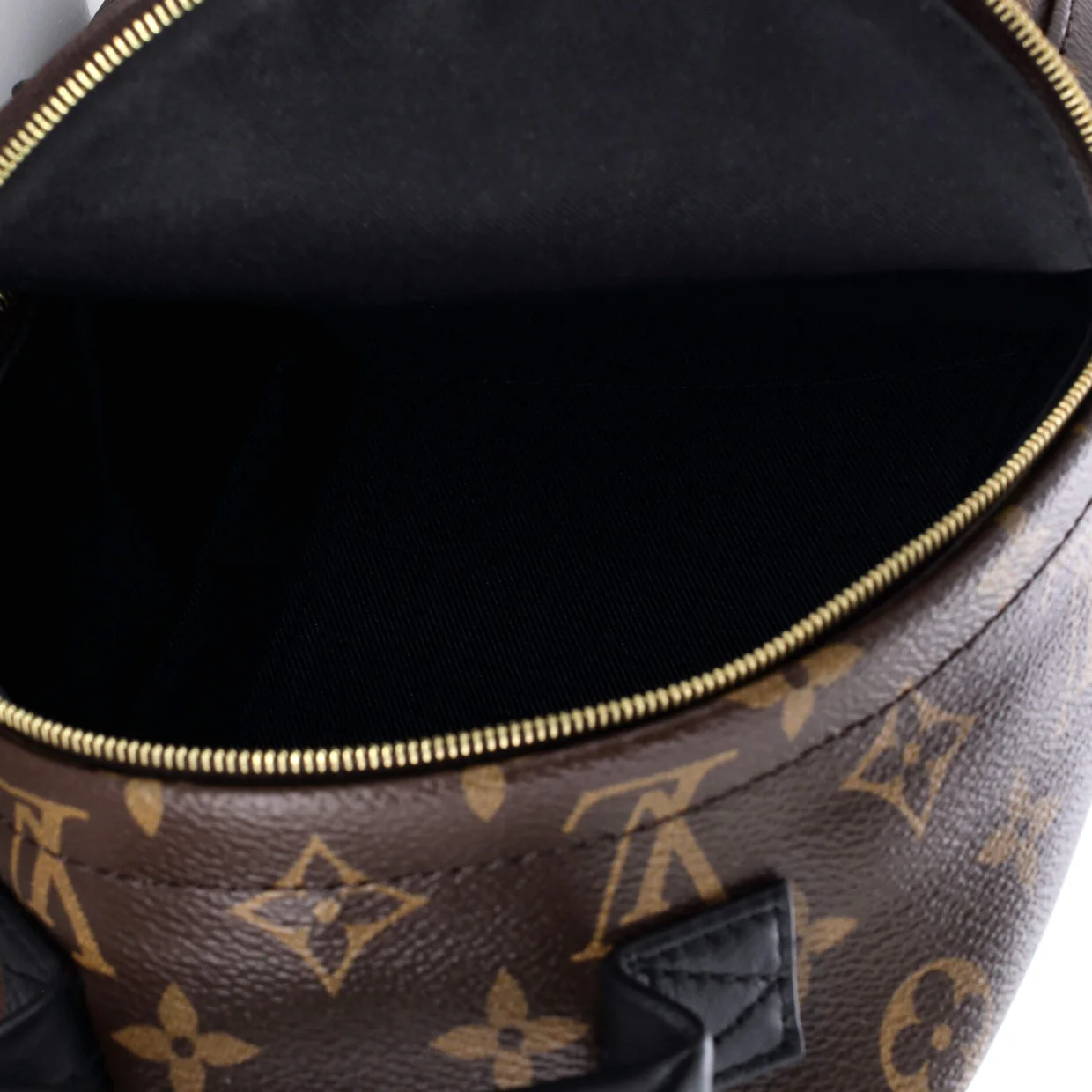 Palm Springs Backpack Monogram Canvas Mini - Deep Luxury